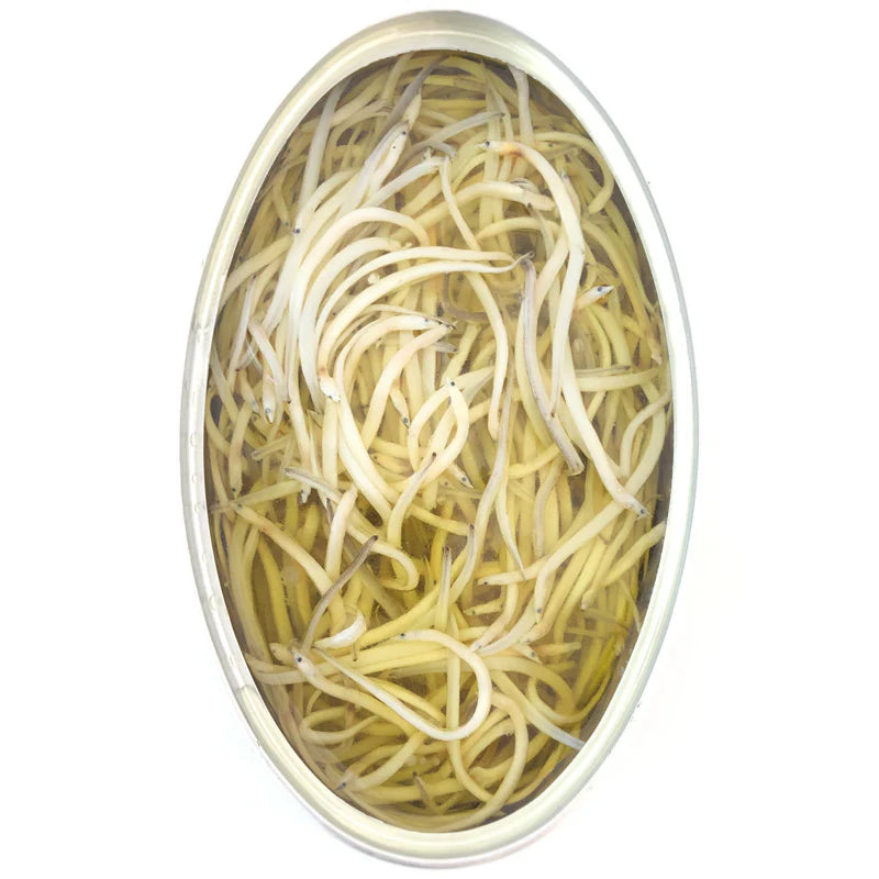 Baby Eels in Olive Oil (Angulas) 4oz tin