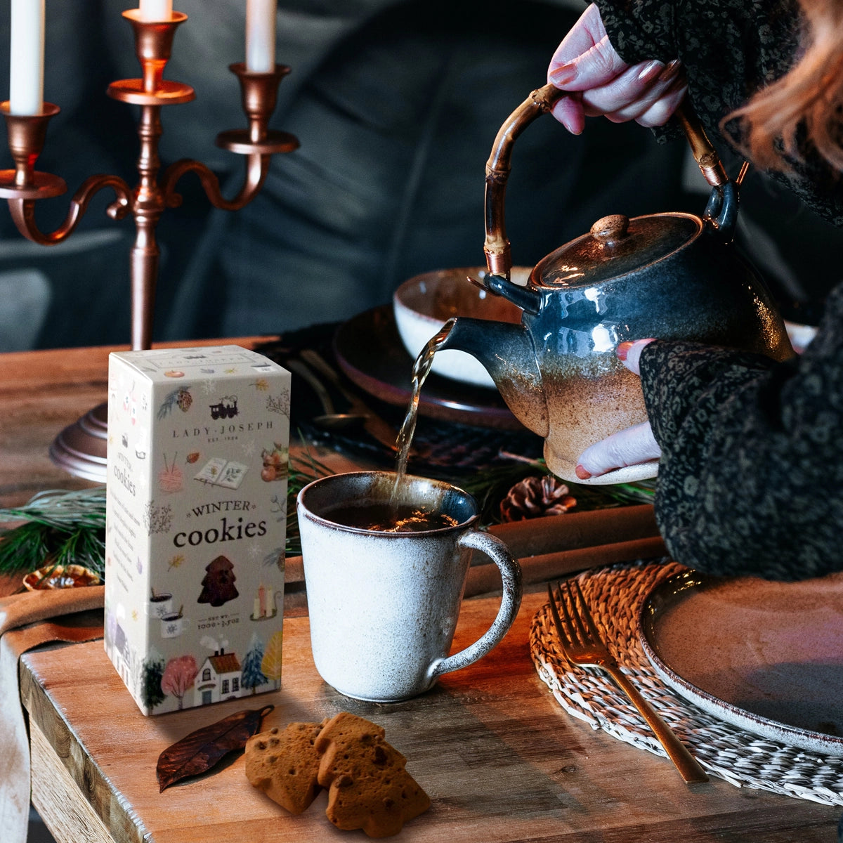 Chocolate Winter Cookies