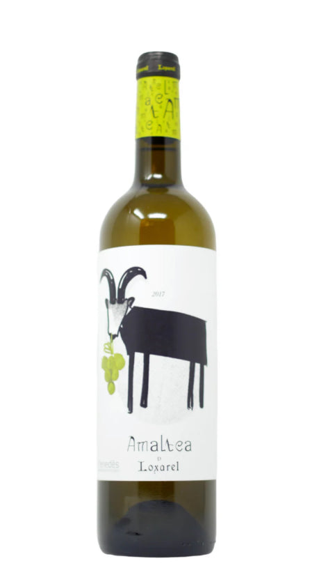2023 Loxarel Amaltea Garnaxta Blanc