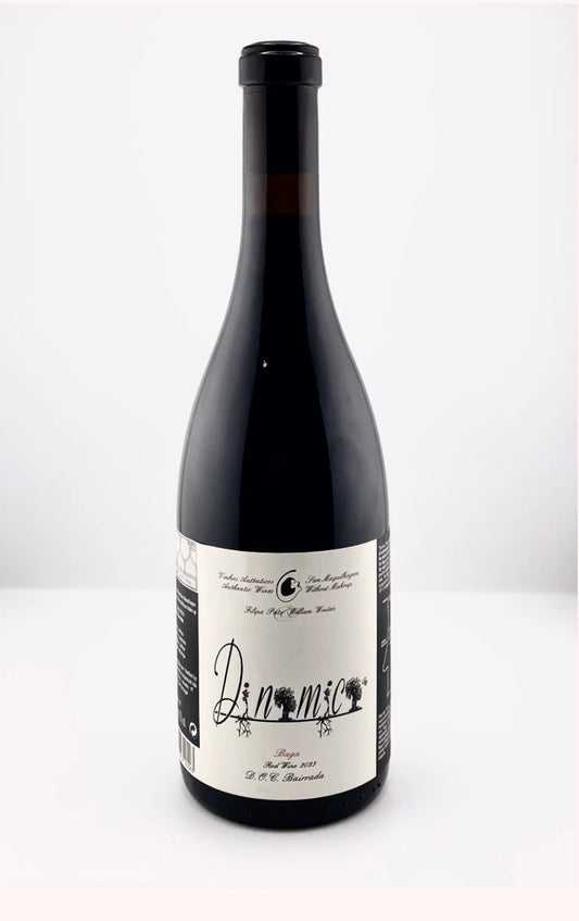 2024 Filipa Pato DNMC Baga