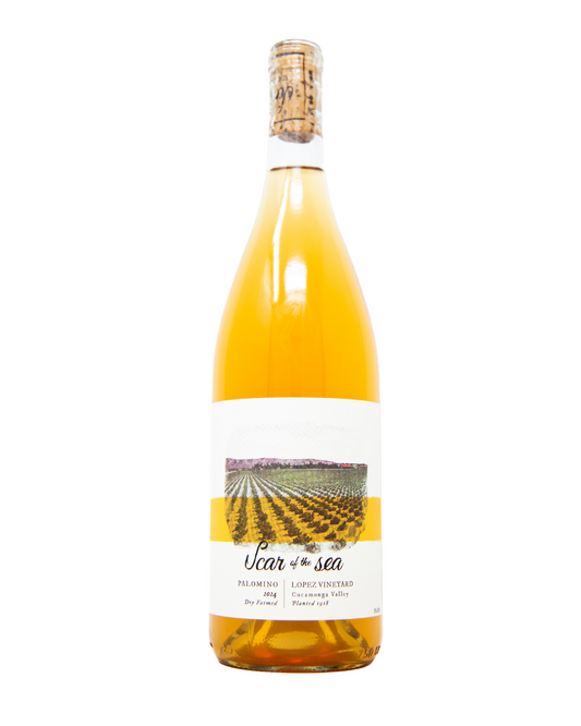 2024 Scar of the Sea, Old Vine Palomino Lopez Vineyard - 750ml